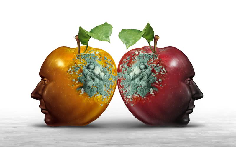 Taxas mais elevadas de doenças infecciosas previram atitudes políticas e resultados, como voto conservador - iStock